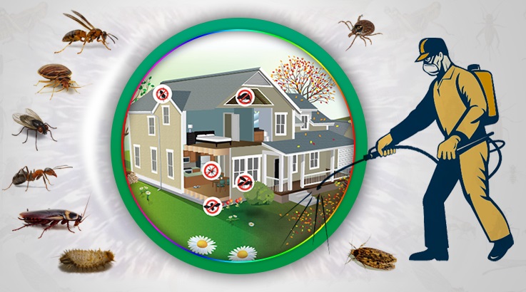 Büyükçekmece Böcek İlaçlama